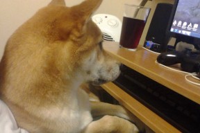 Milan Sports-詹姆斯强迫对方改变防守策略展现统治力，詹姆斯的进攻绝招