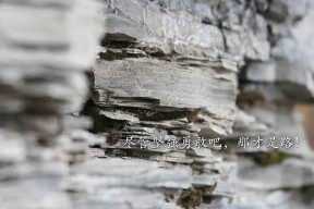 -澳大利亚袋鼠队的复兴之路能否终结南非和新西兰的统治，袋鼠攻打澳大利亚