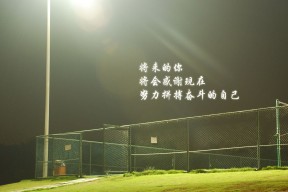 米兰体育官网-NBA球队管理层决策机制研究，nba球队架构