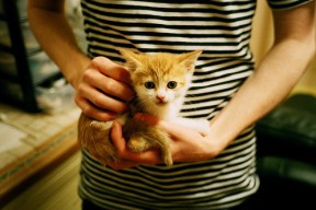 米兰体育-中国三人篮球男队坚持高强度训练，中国三人篮球男队坚持高强度训练的是谁