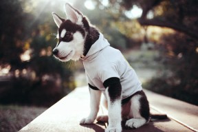 AC米兰-五大联赛上半场控球优势是否总能转化为进球，五大联赛单场进6球