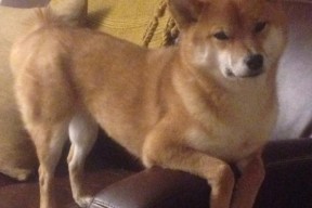 MILANSPORT入口-新闻中心发布体育场馆票务优惠政策及使用说明，体育场馆免费开放方案