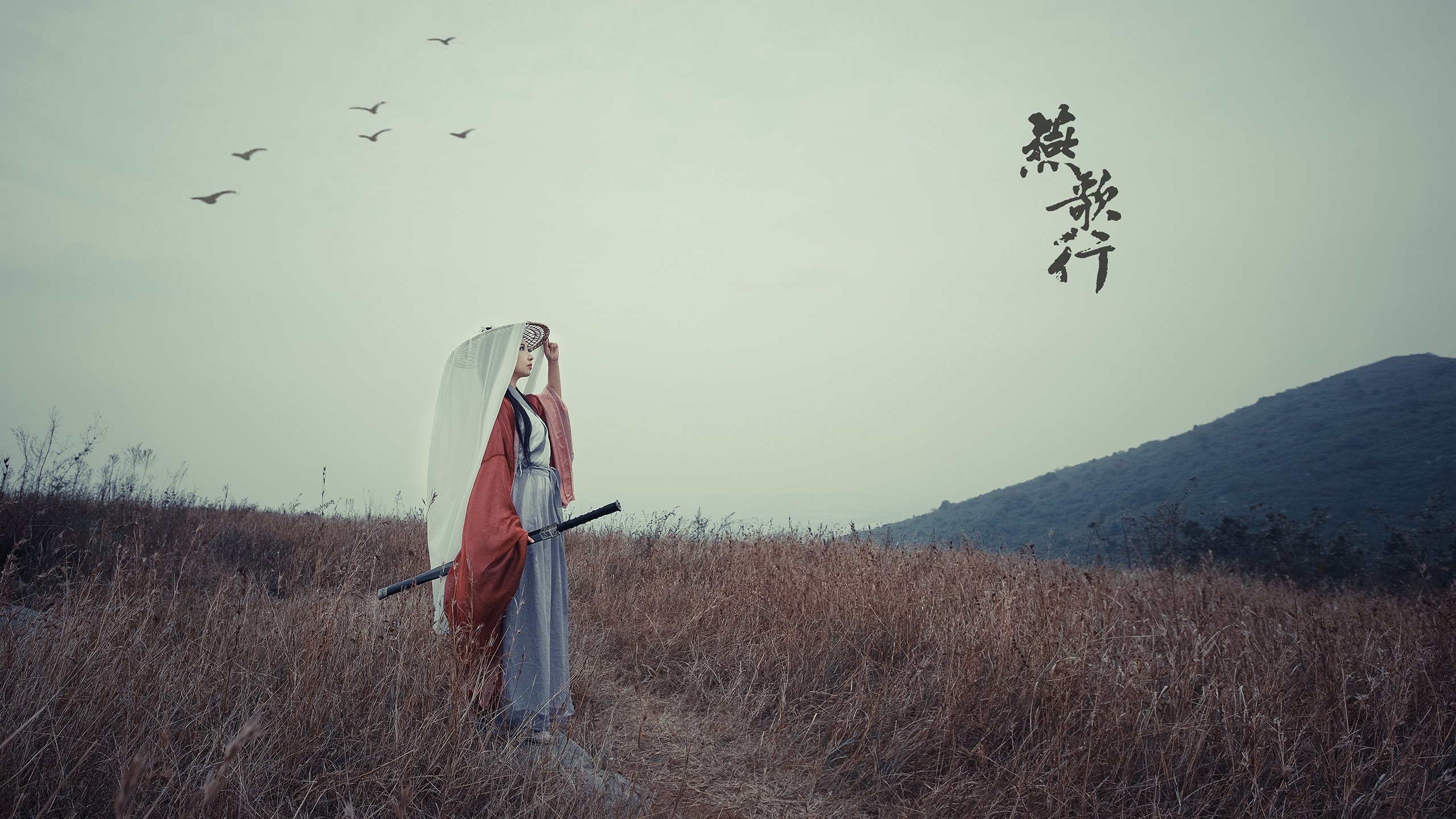 NBA球队管理层决策机制及执行效率研究，nba哪个球队管理层良心