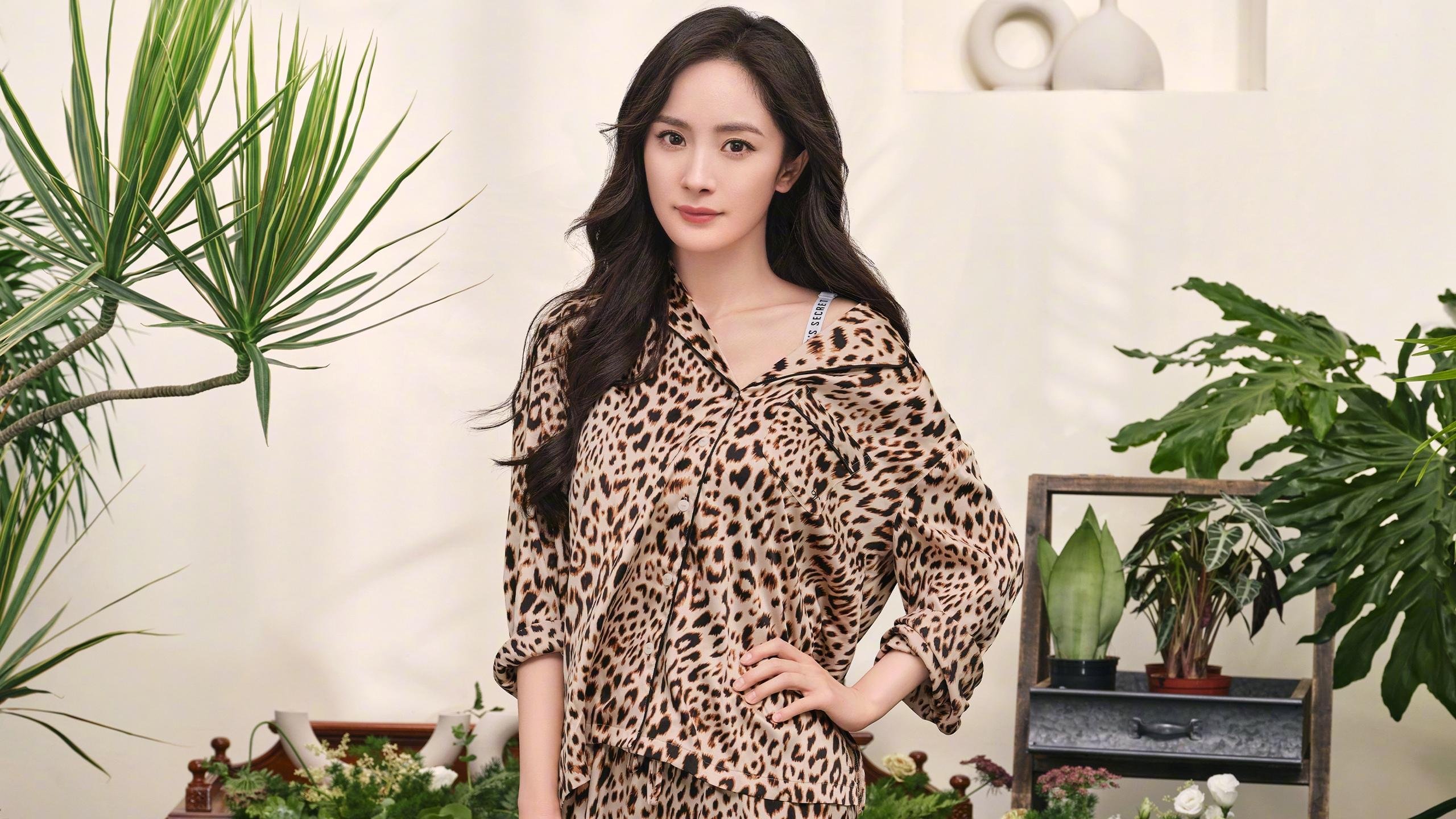 NBA球队管理层决策机制研究，nba球队架构