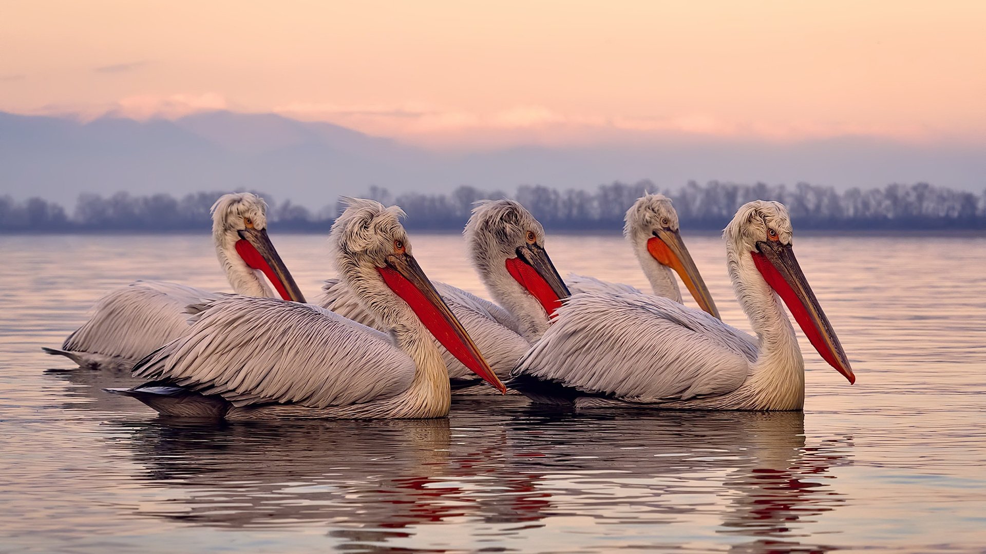 高校体育课程教学评估体系优化，高校体育课程改革方案