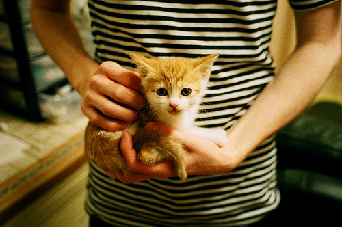 中国三人篮球男队坚持高强度训练，中国三人篮球男队坚持高强度训练的是谁