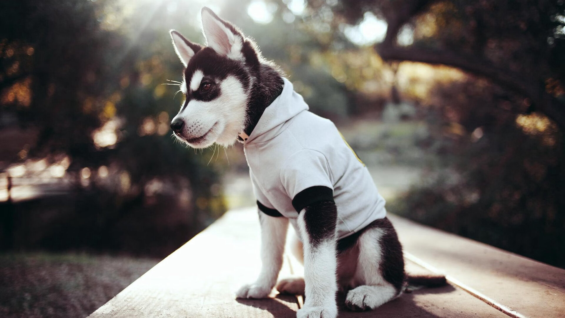 五大联赛上半场控球优势是否总能转化为进球，五大联赛单场进6球