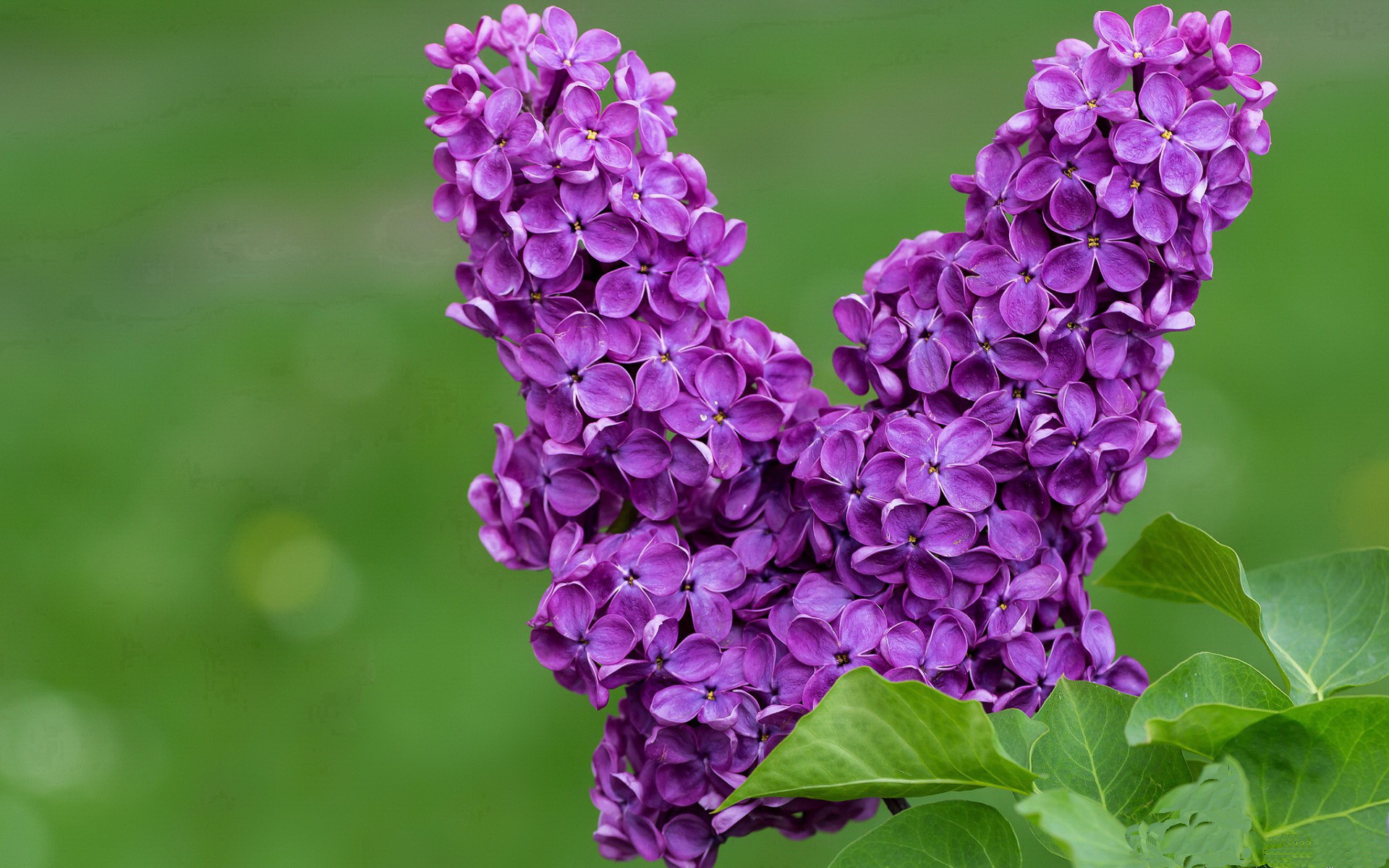 体育明星公益形象深入人心，体育明星精神