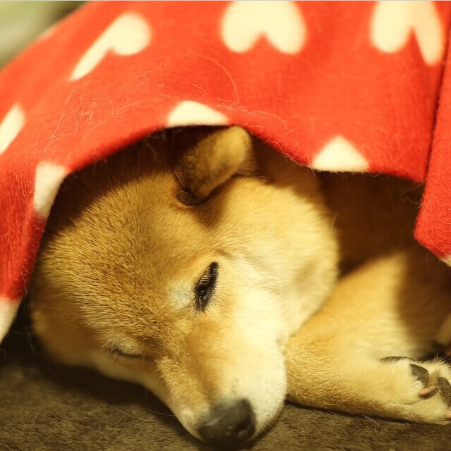 C罗挑战纪录片拍摄展现幕后真实一面,c罗足球纪录片