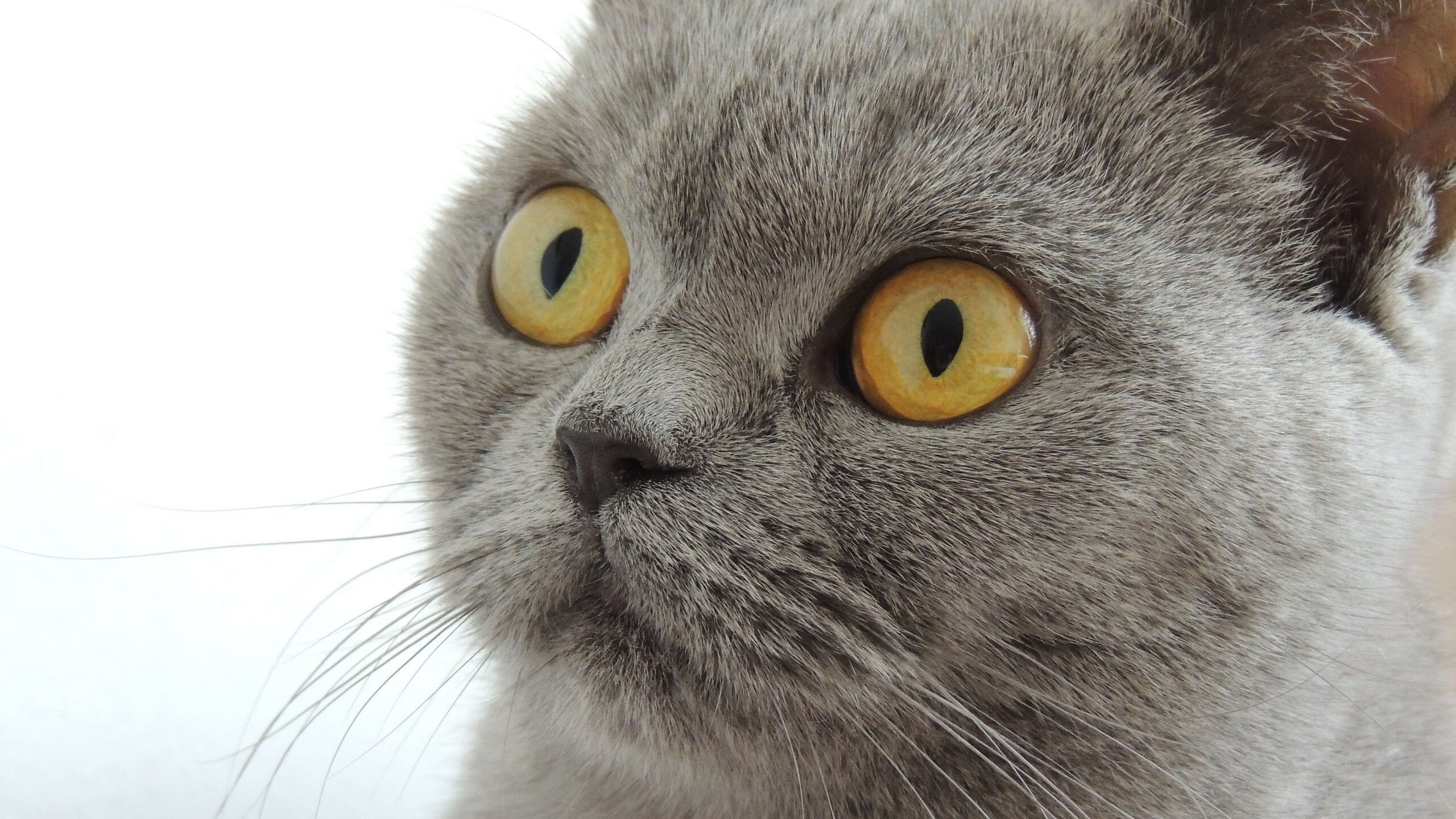 国家体育总局公布体育新闻信息平台统一接口标准,体育信息网