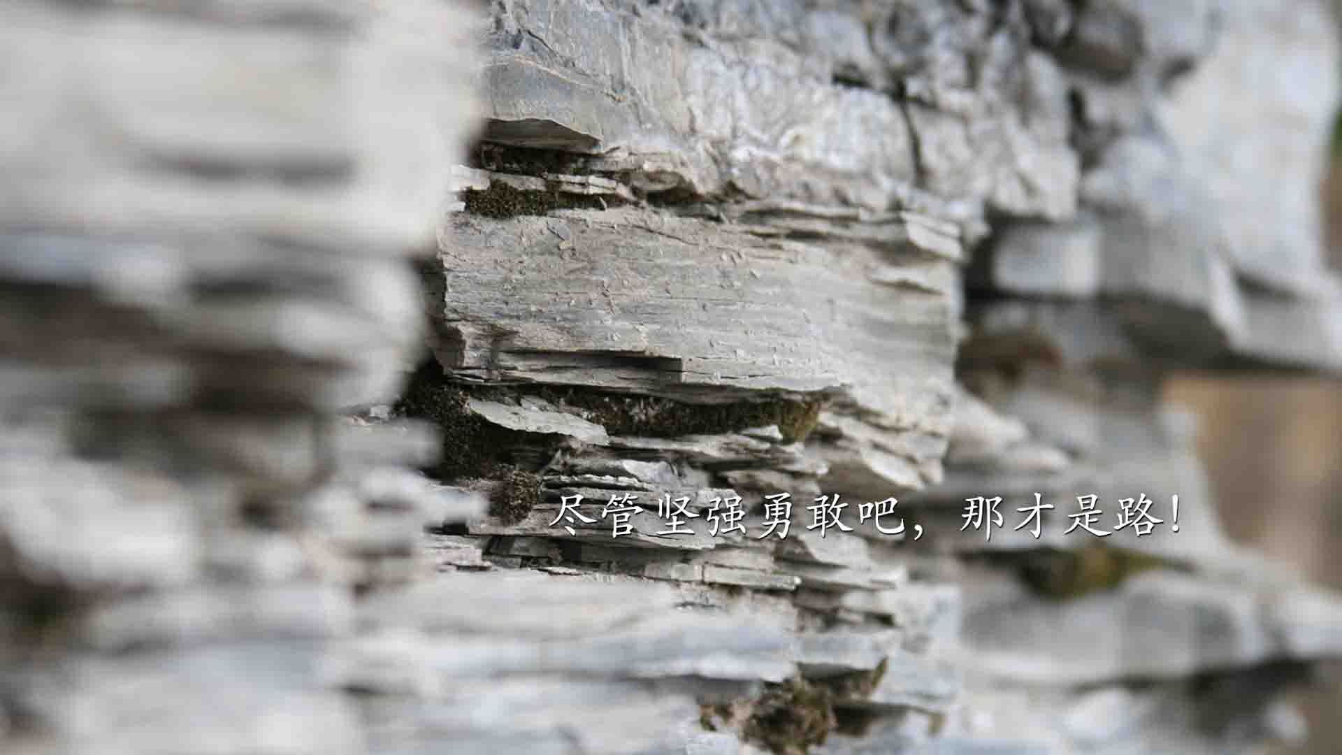 澳大利亚袋鼠队的复兴之路能否终结南非和新西兰的统治，袋鼠攻打澳大利亚