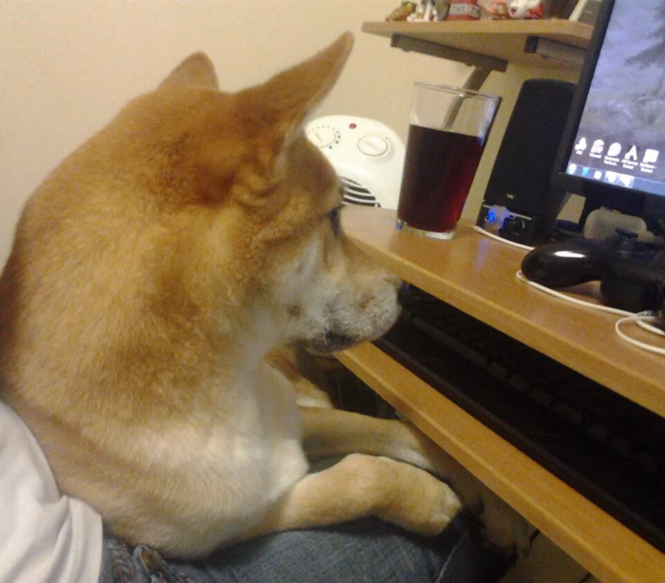 詹姆斯强迫对方改变防守策略展现统治力,詹姆斯的进攻绝招