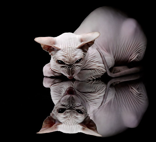 赛季最佳新人揭晓，球队未来竞争力被看好，新赛季球员排名